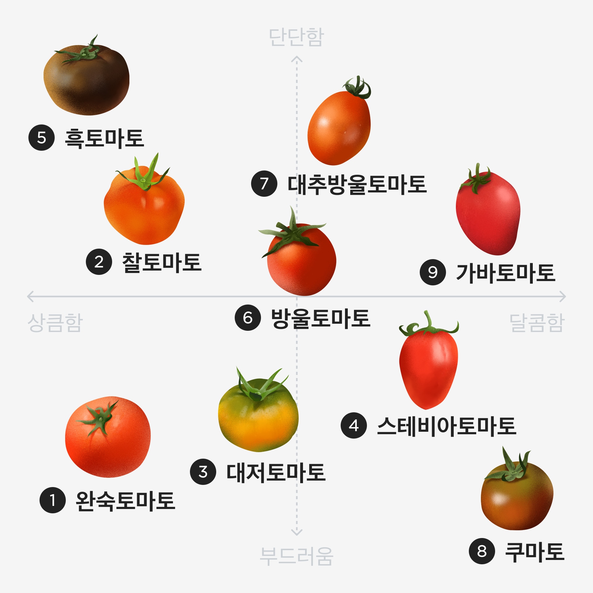 토마토 품종별 특징을 알려드려요