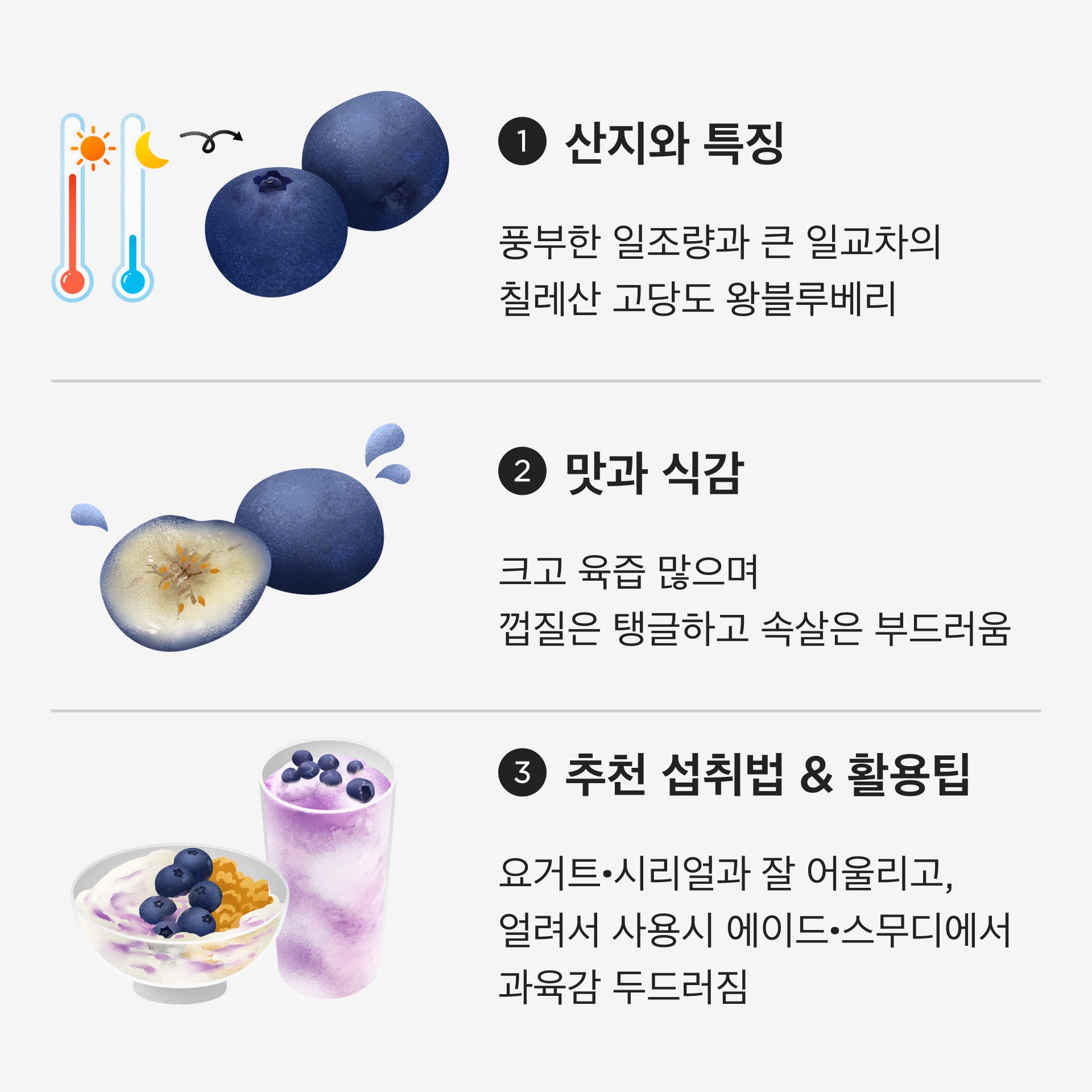 왕블루베리