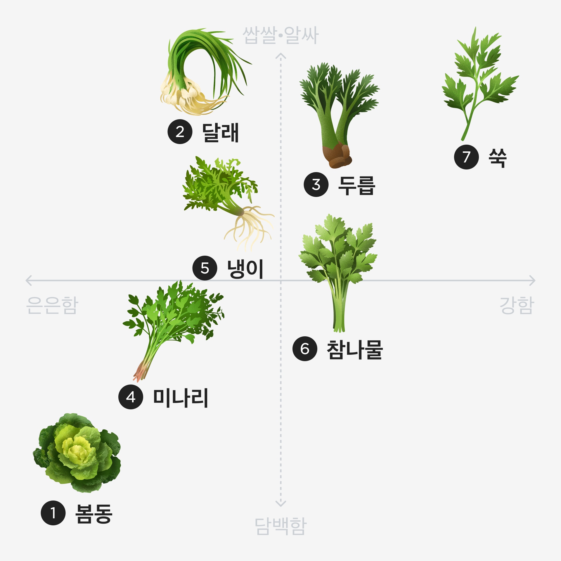 봄나물에 대해 알려드려요