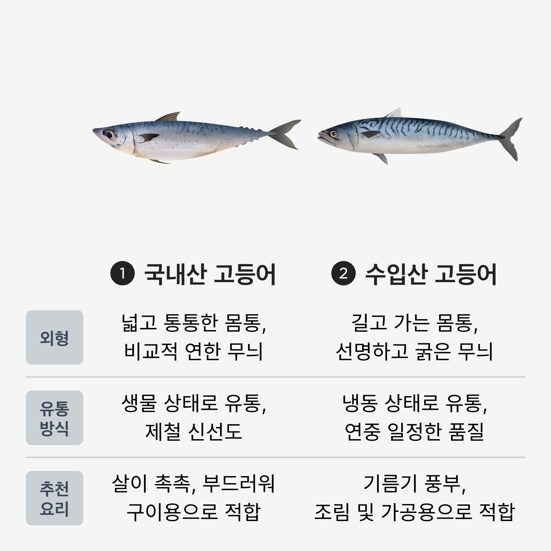 고등어