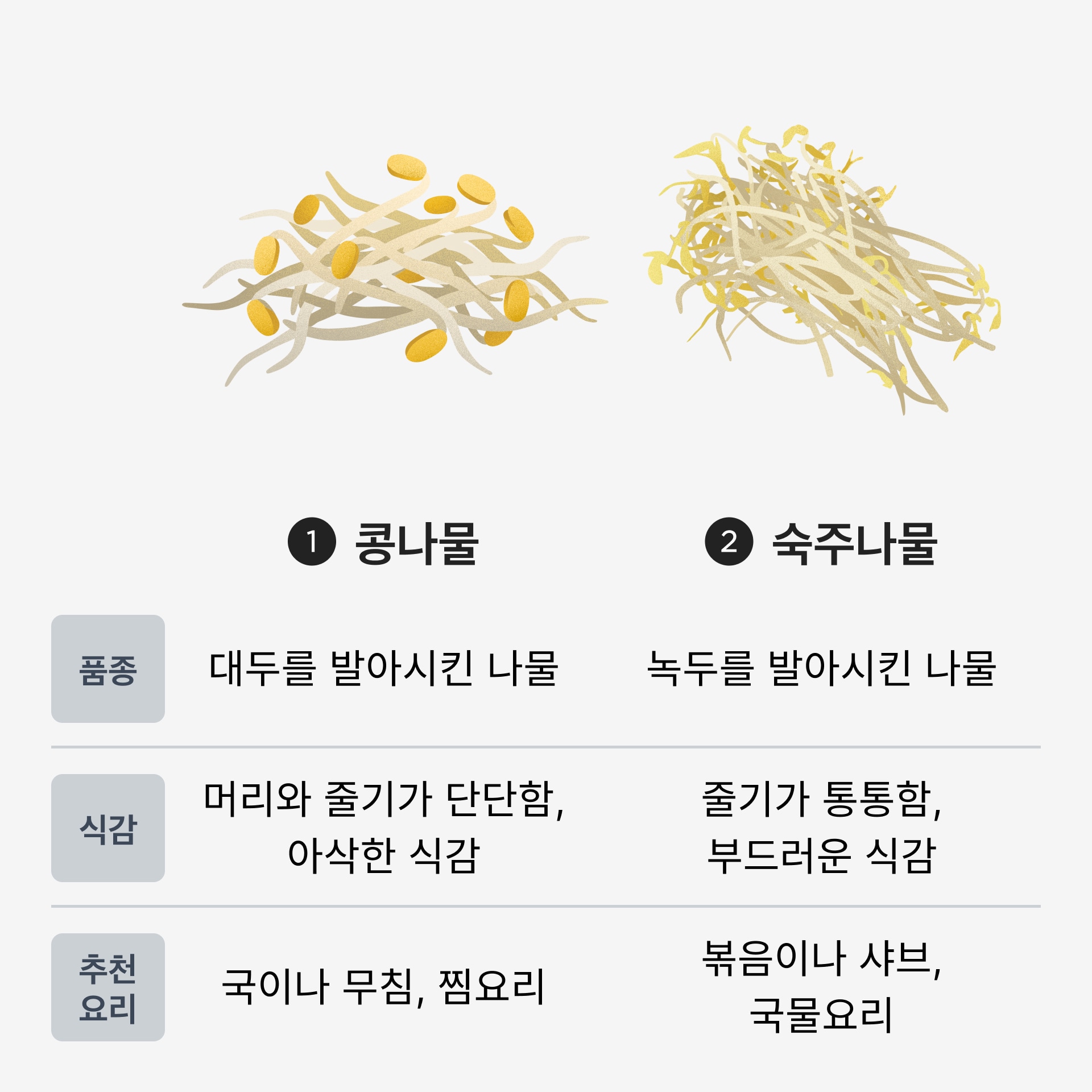 콩나물 숙주나물
