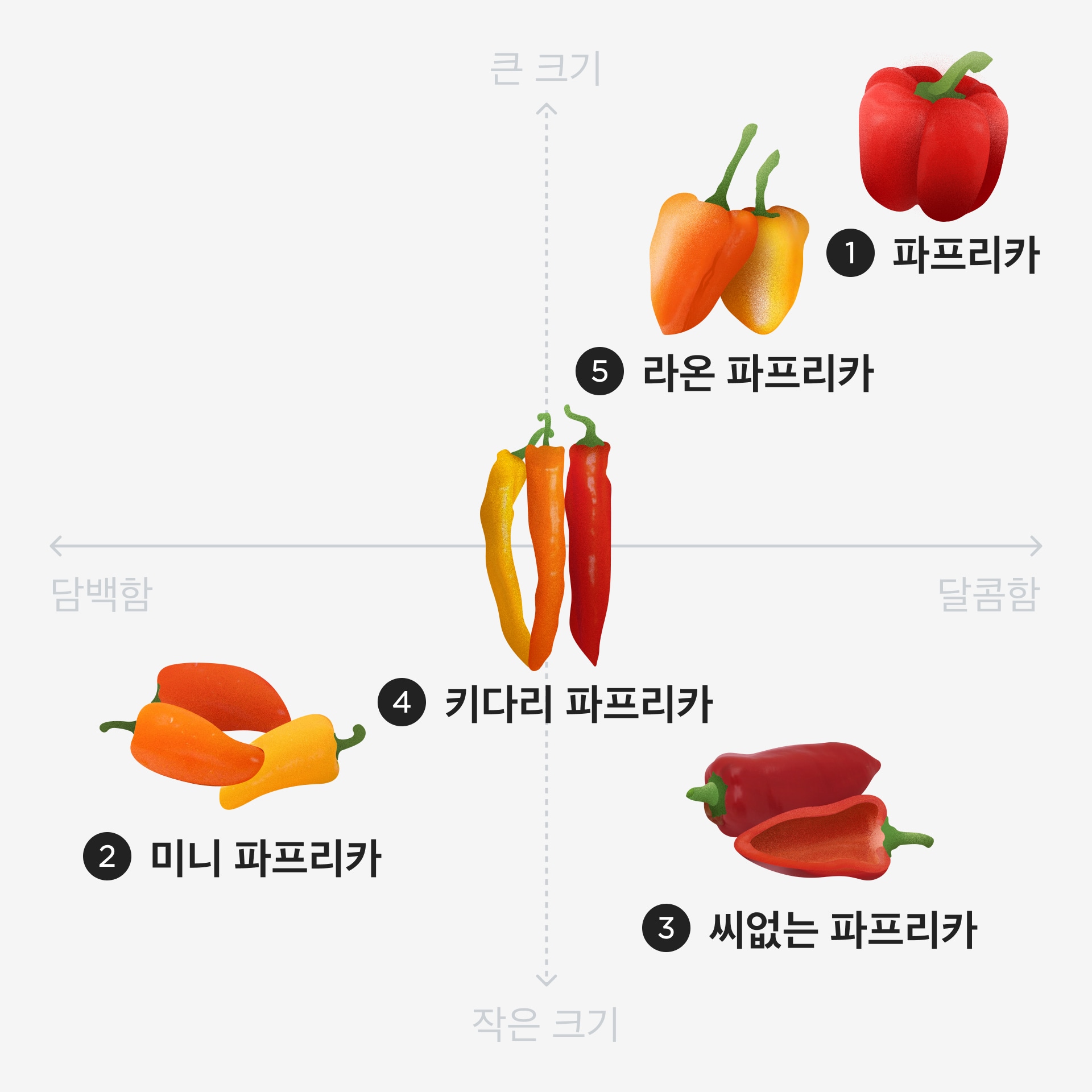파프리카 종류
