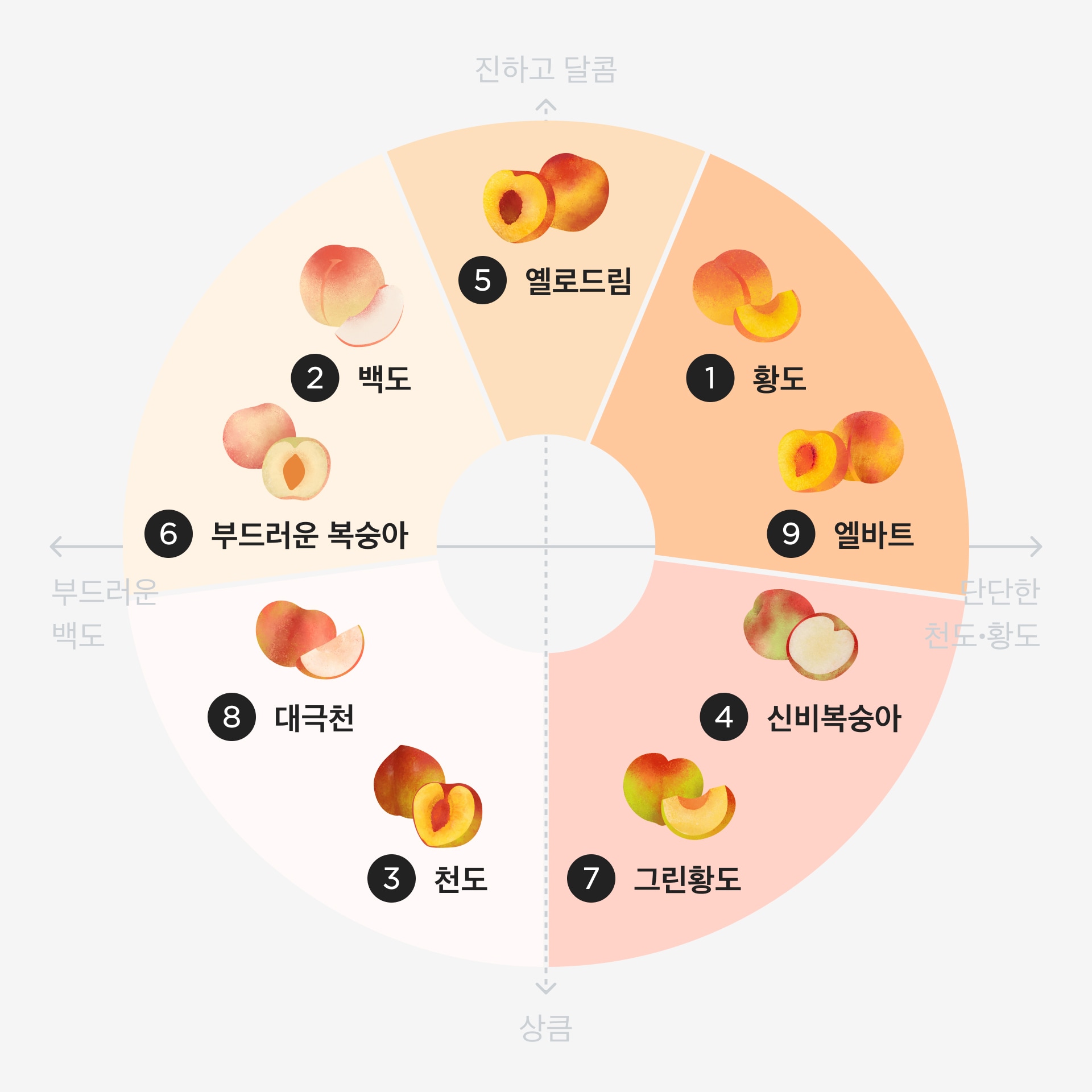 복숭아