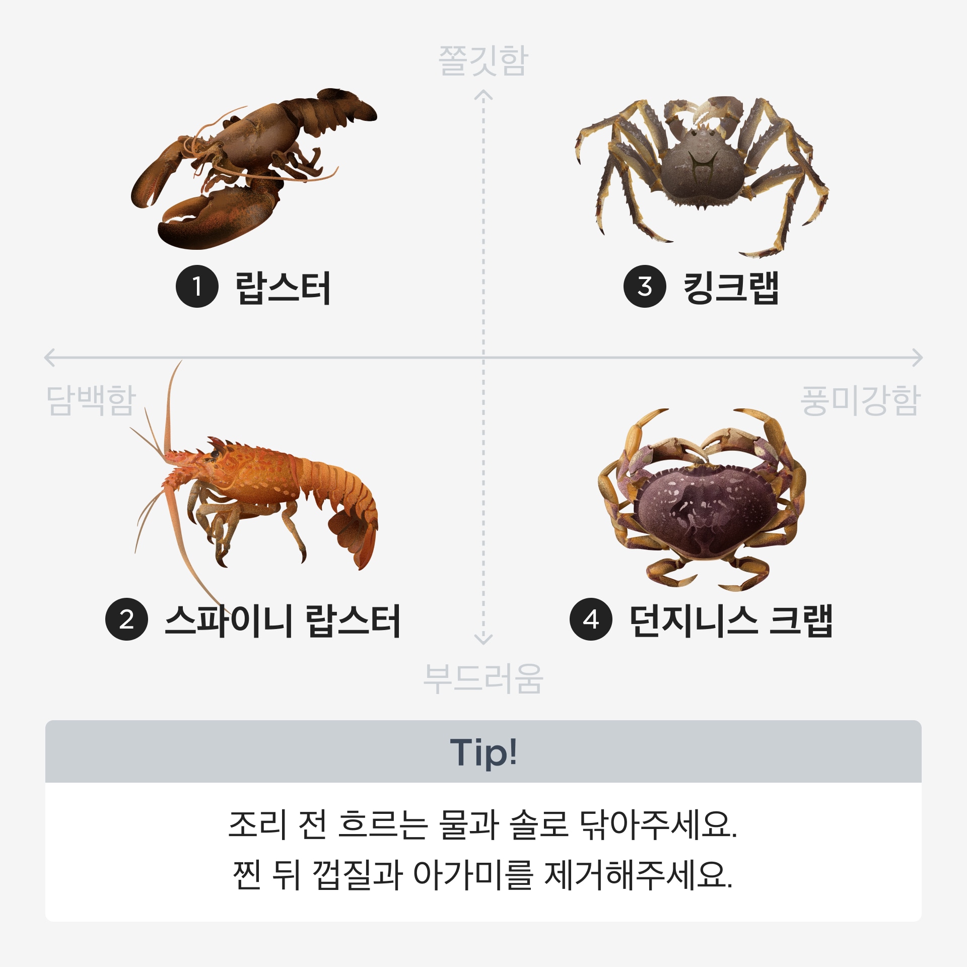 프리미엄 갑각류 선택 팁