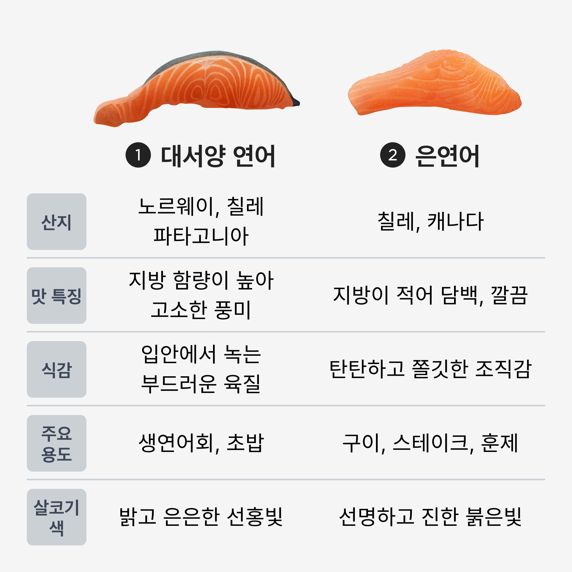대서양 연어 vs 은연어