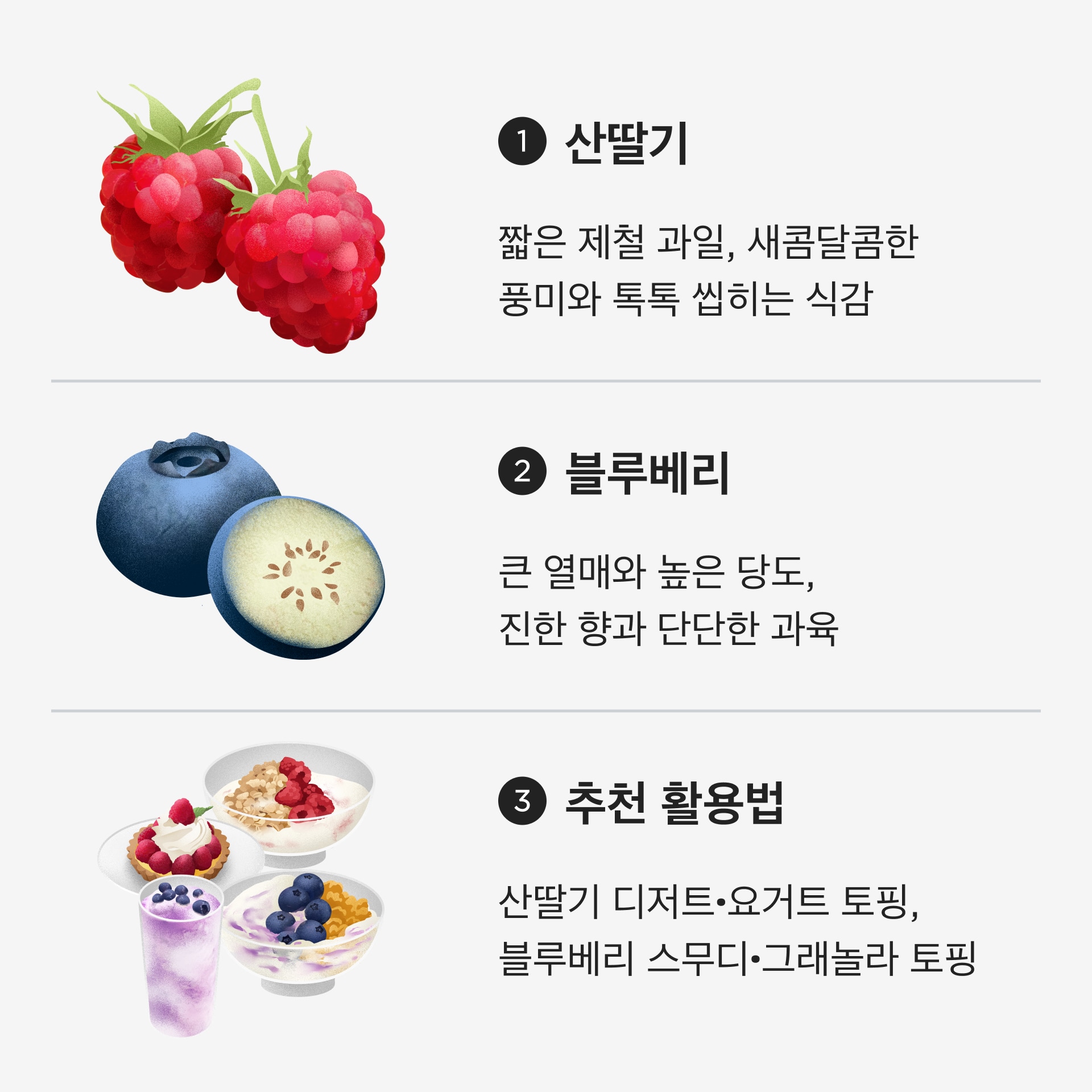 제철에 만나는 국산 산딸기와 블루베리