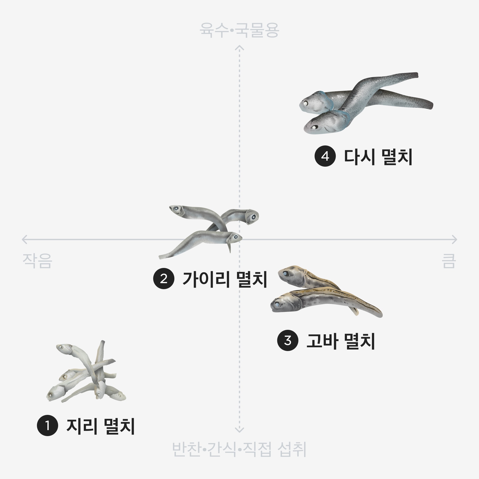요리별 멸치 종류 선택하기