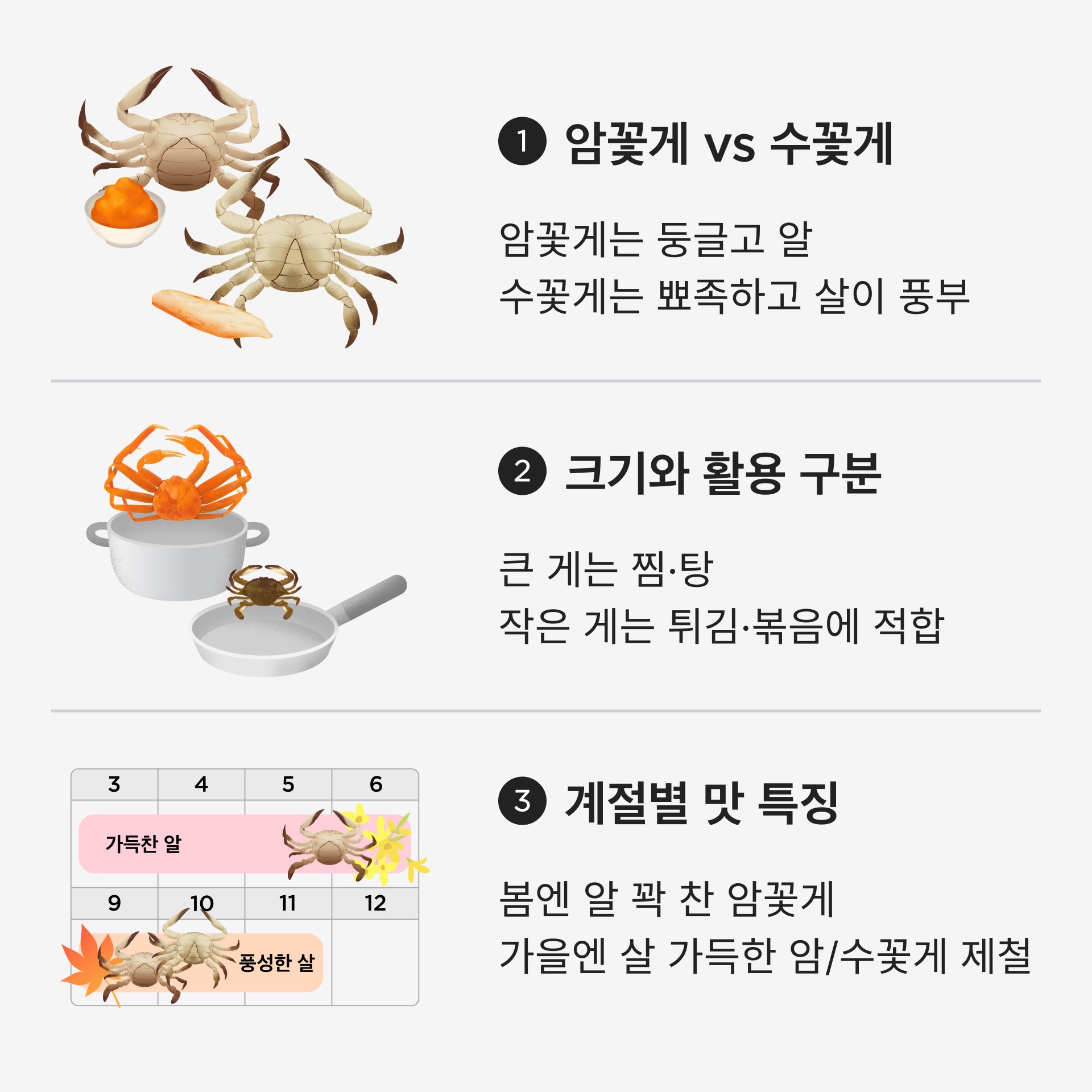 꽃게